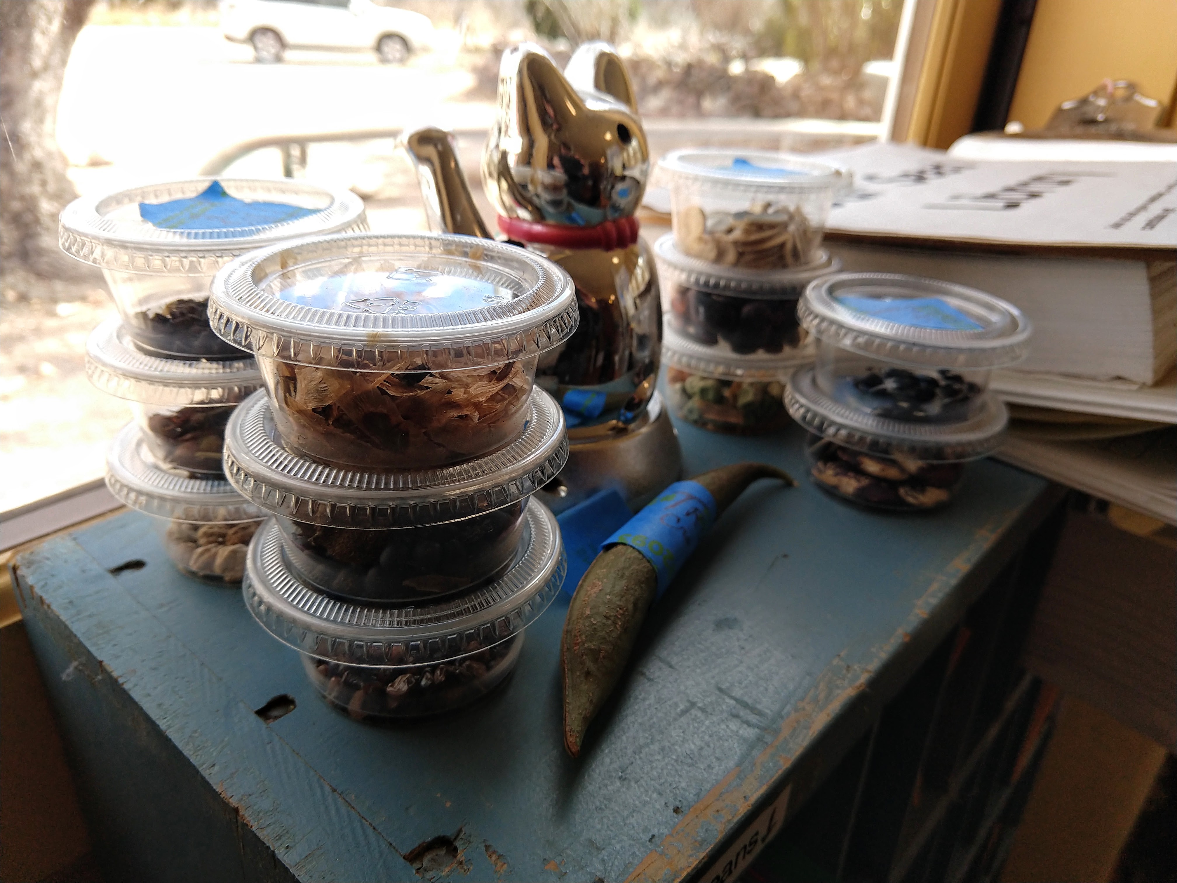 IMG_20230128_125420139